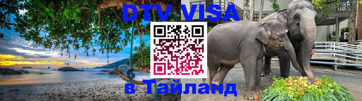 Стоимость и условия DTV визы — оформление в Таиланд под ключ - Нью-Дели  19.11.2025 